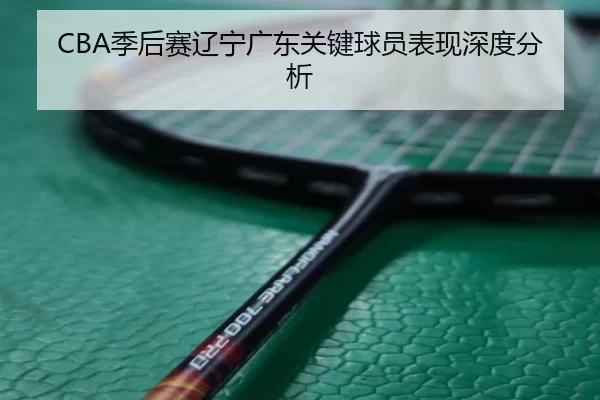 CBA季后赛辽宁广东关键球员表现深度分析
