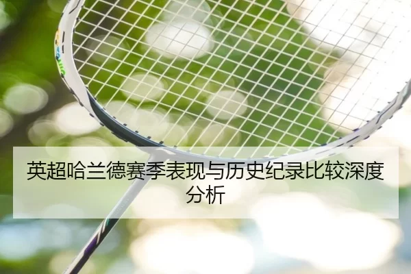 英超哈兰德赛季表现与历史纪录比较深度分析