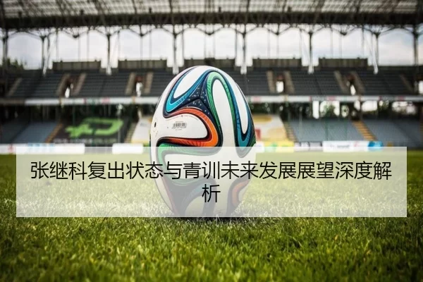 张继科复出状态与青训未来发展展望深度解析